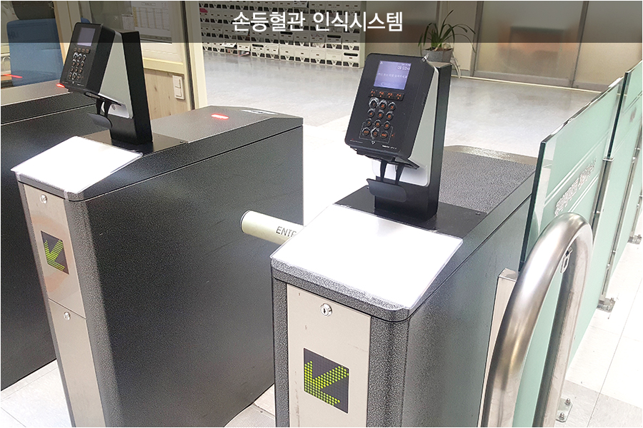 손등혈관 인식시스템